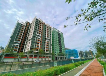 桃園一哥在哪？網點名「這區」熱度低錯了嗎　近況全說了