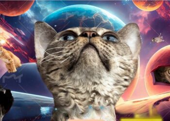 臺北推求職保好運計畫  加碼求職交通補助