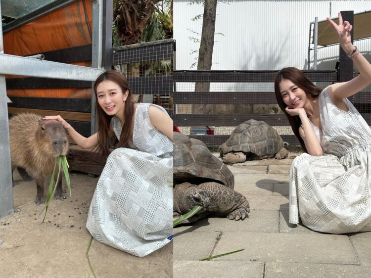 Toyz入監服刑 篠崎泫未能親自送行 原來是做這件事 Toyz入監服刑 篠崎泫未能親自送行 原來是做這件事