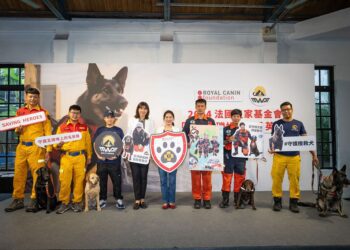 法國皇家基金會聯手臺灣工作犬發展協會　共籲提升搜救犬的醫療照護福利