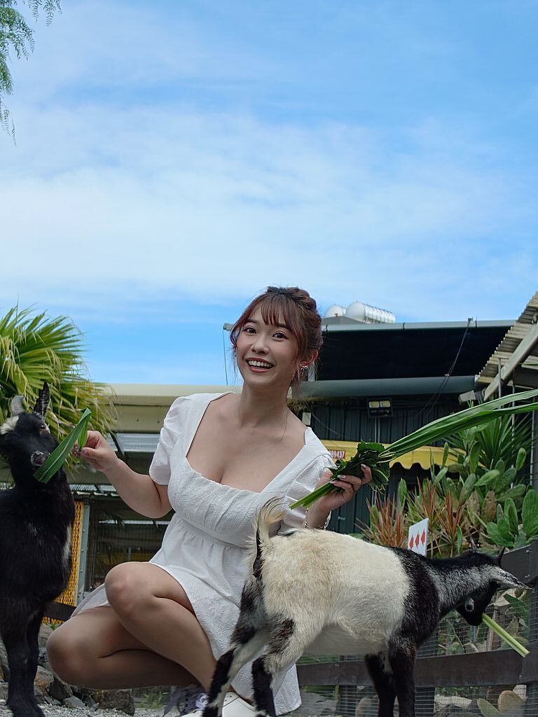 Xperia 1 VI 試拍快速體驗　長焦微距功能真的很好玩！