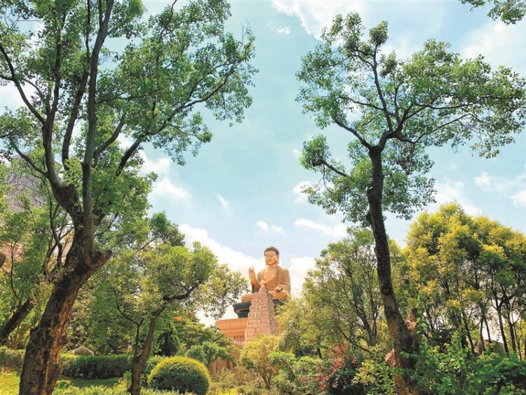 觀光署串聯微笑南灣展館 推仲夏節優惠方案 觀光署串聯微笑南灣展館-推仲夏節優惠方案