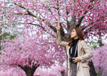 2024名古屋熱門景點top8！玩樂高、露天觀景，還有最美花卉節刷爆ig