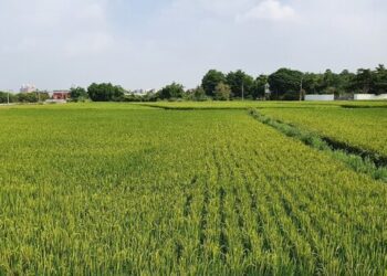 國土法2025年4月上路　國土署：天價罰金為不實訊息