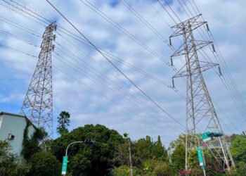 是真的！發生跳電常是「小動物誤觸」　台電強調不是缺電：停電了比誰都急