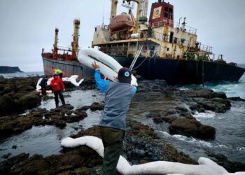 成長路上感謝有您-澎湖南方四島國家公園十週年