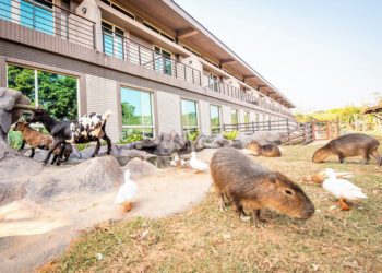 六福水樂園穿搭攻略一次看-比基尼、露臍裝消暑又享優惠價