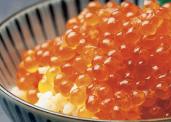 日本青森縣水產隆重登台！商談會6/25、6/27盛大登場！