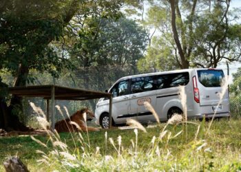 六福莊首推全台唯一非洲生態動物探索兒童獨立營隊-七天六夜與動物共學共遊