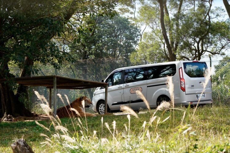 六福莊首推全台唯一非洲生態動物探索兒童獨立營隊-七天六夜與動物共學共遊