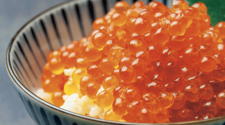 日本青森縣水產隆重登台!商談會6/25、6/27盛大登場! 日本青森縣水產隆重登台!商談會6/25、6/27盛大登場!