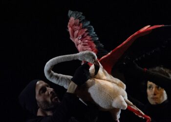 末日來得太快-最後一個星期日詼諧愛地球