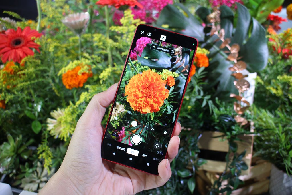 Xperia 1 VI 試拍快速體驗　長焦微距功能真的很好玩！