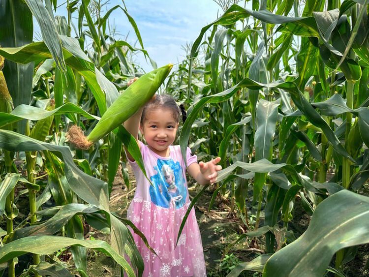 搶攻暑假親子客,嘉義水上鄉推多元親子體驗行程 搶攻暑假親子客,嘉義水上鄉推多元親子體驗行程