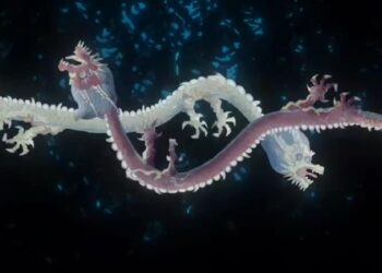 夏日視覺與聽覺的饗宴-來故宮南院看全台最長水舞-璀璨登場！