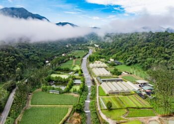 森形埔里農莊推動聯合國里山倡議，打造台灣里山夢