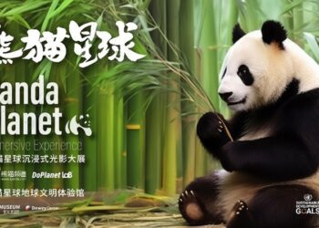 官方大熊貓沉浸式光影大展“熊貓星球”將於成都全球首展