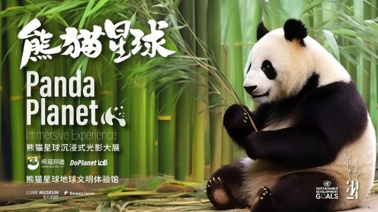 官方大熊貓沉浸式光影大展“熊貓星球”將於成都全球首展 官方大熊貓沉浸式光影大展“熊貓星球”將於成都全球首展