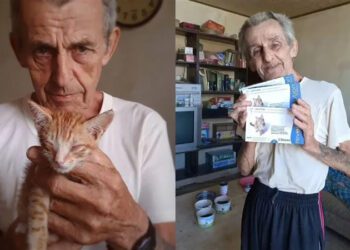 愛貓人士馬爺爺安養安葬-高市社會局協助