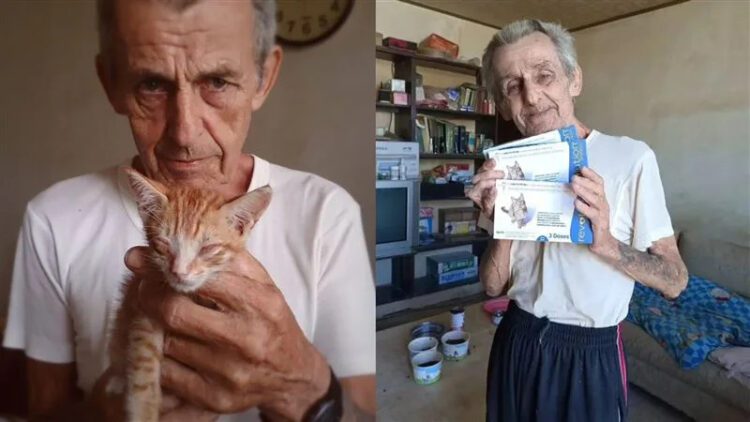 愛貓人士馬爺爺安養安葬 高市社會局協助 愛貓人士馬爺爺安養安葬-高市社會局協助