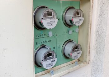 絕不是讓小動物背黑鍋？一張圖看懂跳電真相　台電全說了…