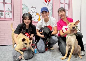 伊林新生代藝人王品澔、艾庭、蔡衣宸、袁子筑-站台寵物展攜手做公益