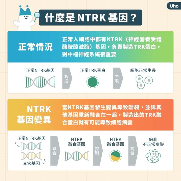 全身都可能發生的「惡性肉瘤」與基因變異關係大,偏好攻擊年輕族群,有異常腫塊應儘早檢查 全身都可能發生的「惡性肉瘤」與基因變異關係大,偏好攻擊年輕族群,有異常腫塊應儘早檢查