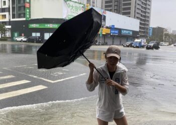 高雄市議員白喬茵抨擊市長治水不力，呼籲市府重視民眾需求