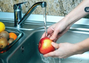 水果怎麼洗才乾淨？水果要洗多久？營養師揭「黃金時間」至少●●分鐘