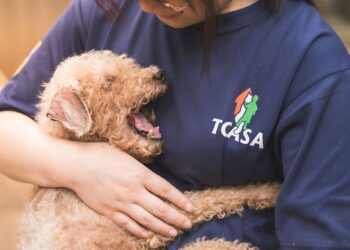 法國皇家攜手 momo 購物網　守護浪浪捐糧營養愛不斷