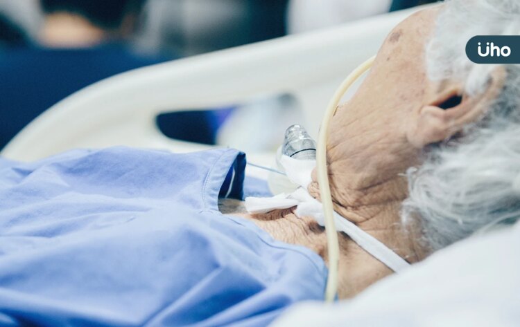 插鼻胃管要吃什麼?灌食前要做哪些準備?家屬必知「灌食照護流程」 插鼻胃管要吃什麼?灌食前要做哪些準備?家屬必知「灌食照護流程」