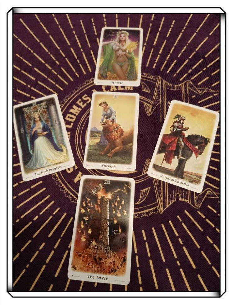 南星風雨–台鋼雄鷹-tsg-hawks-高雄隊挺高雄人