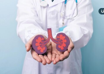 末期腎臟病「換腎存活率」比洗腎高！醫揭腎臟移植「5大心血管風險」