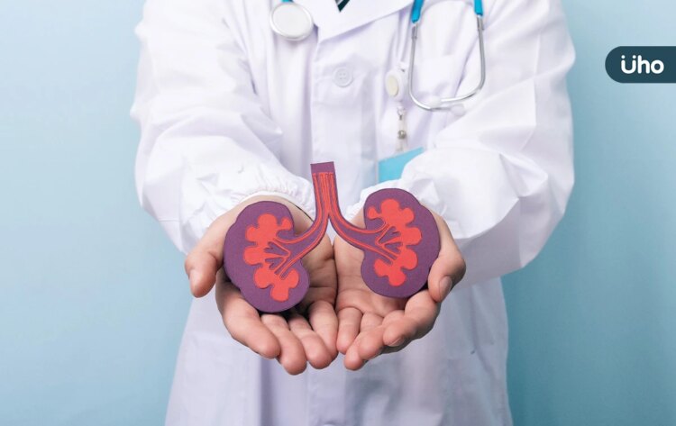 末期腎臟病「換腎存活率」比洗腎高！醫揭腎臟移植「5大心血管風險」