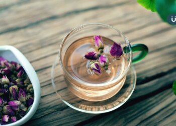 有食譜》立秋冷熱交替身體扛不住？2步驟泡「養生紫蘇茶」預防感冒