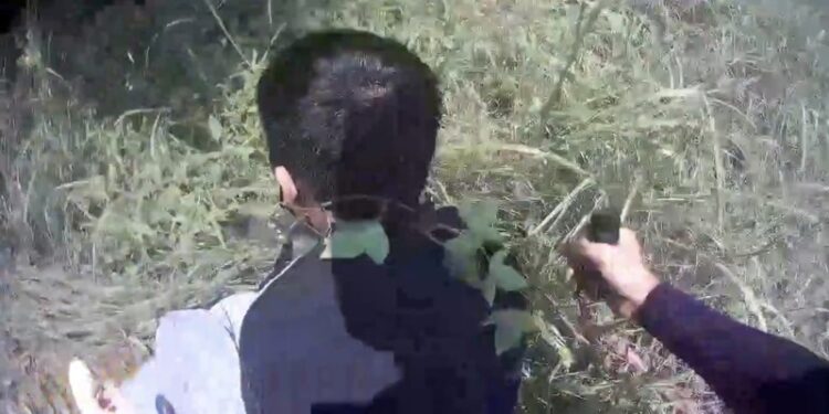 失聯移工心虛有鬼 躲樹叢仍遭逮 失聯移工心虛有鬼 -躲樹叢仍遭逮