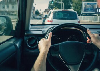 開車遇地震怎麼辦？可以緊急煞車嗎？專家：優先做「1事」避免車禍