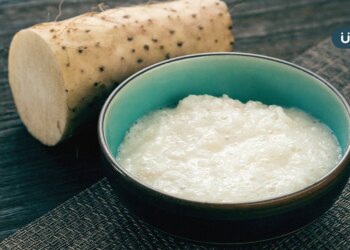 有食譜》處暑防秋燥更要袪濕！增免疫力「山藥蓮子粥」3步驟上桌