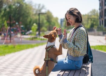 寵物溝通師能幫助毛孩嗎？揭開寵物溝通師工作實況