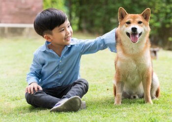 毛孩比小孩多台灣寵物年增二十萬-寵物頭號三疾病逐年攀升-治療照護需求高