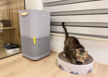 家有寵物必備法寶 網推「這款」家電去異還能調溫