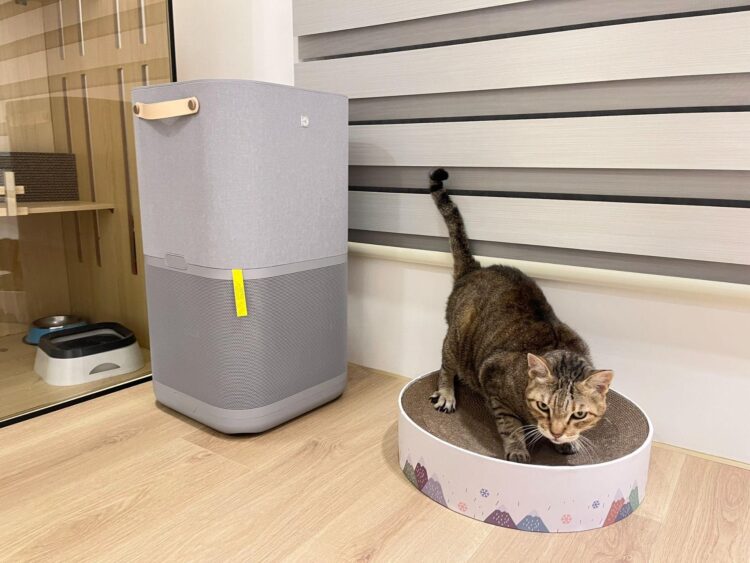 家有寵物必備法寶 網推「這款」家電去異還能調溫 家有寵物必備法寶 網推「這款」家電去異還能調溫