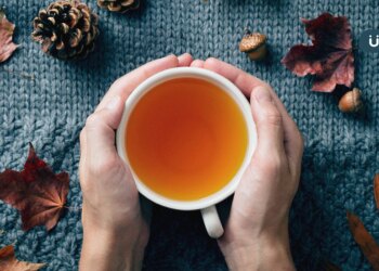 有食譜》白露時節小心秋燥、急性腹瀉！中醫推2款「潤肺茶」防感冒