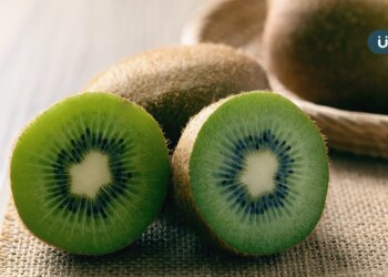 奇異果令人意外的10件事！控血糖、預防抽筋⋯一天吃「●●顆」剛好