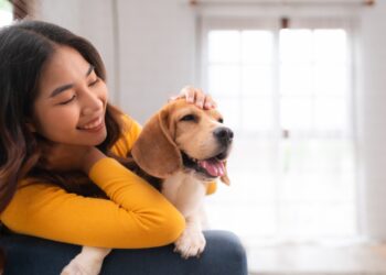 毛孩爸媽看過來-中秋節寵物照顧4項重點