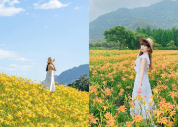 全台景點｜盤點全台9大夢幻金針花海秘境，不用跑到東部也能賞黃金花海！