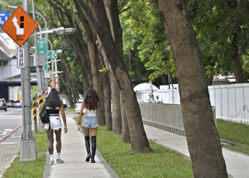 左楠路人行環境改善-演唱會疏運新動線