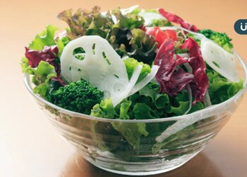 有食譜》秋分養生必吃蓮藕！簡單3步驟「涼拌藕片沙拉」酸甜又開胃