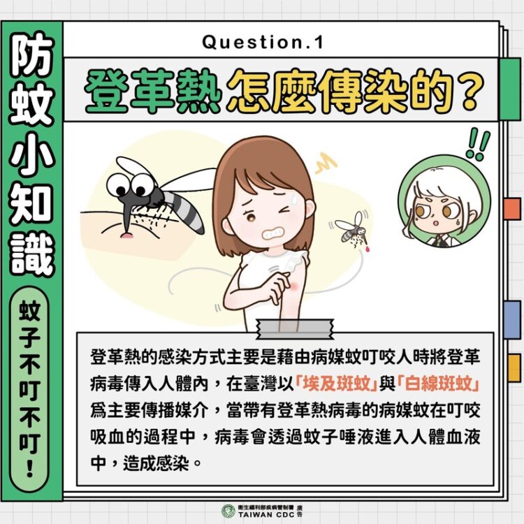 北部發生登革熱本土群聚疫情 高市升級應變措施 落實TOCC警示通報並加速清除積水容器 北部發生登革熱本土群聚疫情-高市升級應變措施-落實tocc警示通報並加速清除積水容器