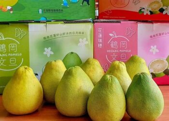 大陸國台辦：自恢復輸入臺灣文旦柚以來-已有多批次文旦柚銷往大陸